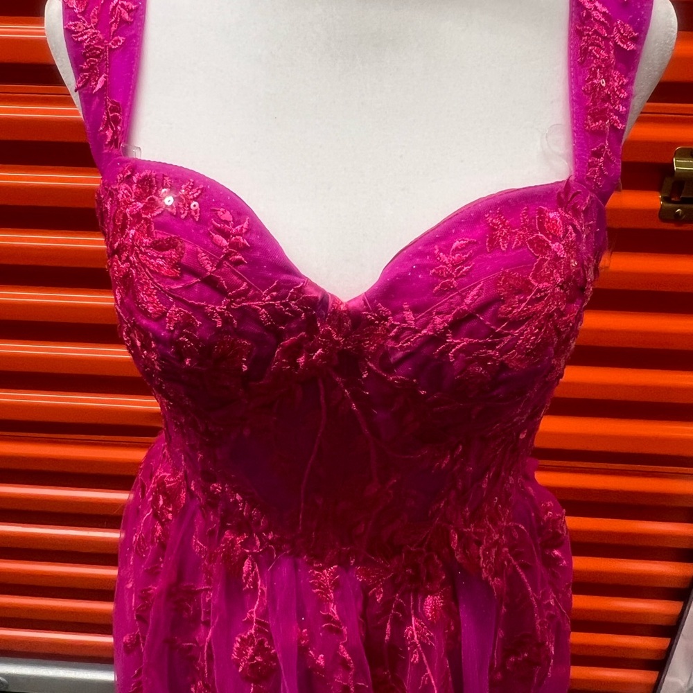 Vibrant Pink Gown with Embroidered Details - Picture 4 of 12